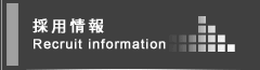 採用情報